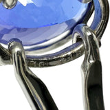 14号 2WAY タンザナイト 7.16ct ダイヤモンド 0.10ct リング・指輪 K18WGホワイトゴールド 18金 7.2g レディース
【中古】【真子質店】【NN】




【IMoDx】