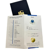 14.5号 タンザナイト 3.62ct ダイヤモンド 0.63ct リング・指輪 Pt900プラチナ 9.1g レディース
【中古】【真子質店】【NN】




【ITMiK】
