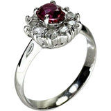 10号 ルビー 0.48ct ダイヤモンド 0.27ct リング・指輪 Pt900プラチナ 4.2g レディース
【中古】【真子質店】【NN】




【TKMo】