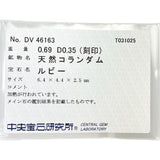 ルビー 0.69ct ダイヤモンド 0.35ct ネックレス Pt850プラチナ/Pt900プラチナ 4.4g 40cm レディース
【中古】【真子質店】【NN】




【DMiD】