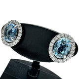 アクアマリン 0.55/0.63ct ダイヤモンド 0.10/0.10ct ピアス Pt900プラチナ 1.9g レディース
【中古】【真子質店】【NN】




【YDS】