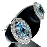 アクアマリン 0.55/0.63ct ダイヤモンド 0.10/0.10ct ピアス Pt900プラチナ 1.9g レディース
【中古】【真子質店】【NN】




【YDS】