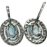 アクアマリン 0.55/0.63ct ダイヤモンド 0.10/0.10ct ピアス Pt900プラチナ 1.9g レディース
【中古】【真子質店】【NN】




【YDS】