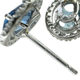 アクアマリン 0.55/0.63ct ダイヤモンド 0.10/0.10ct ピアス Pt900プラチナ 1.9g レディース
【中古】【真子質店】【NN】




【YDS】