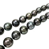黒蝶真珠/パ―ル10.2～13.4mm ネックレス シルバー 85.0g 45cm レディース
【中古】【真子質店】【NN】




【Sxx】