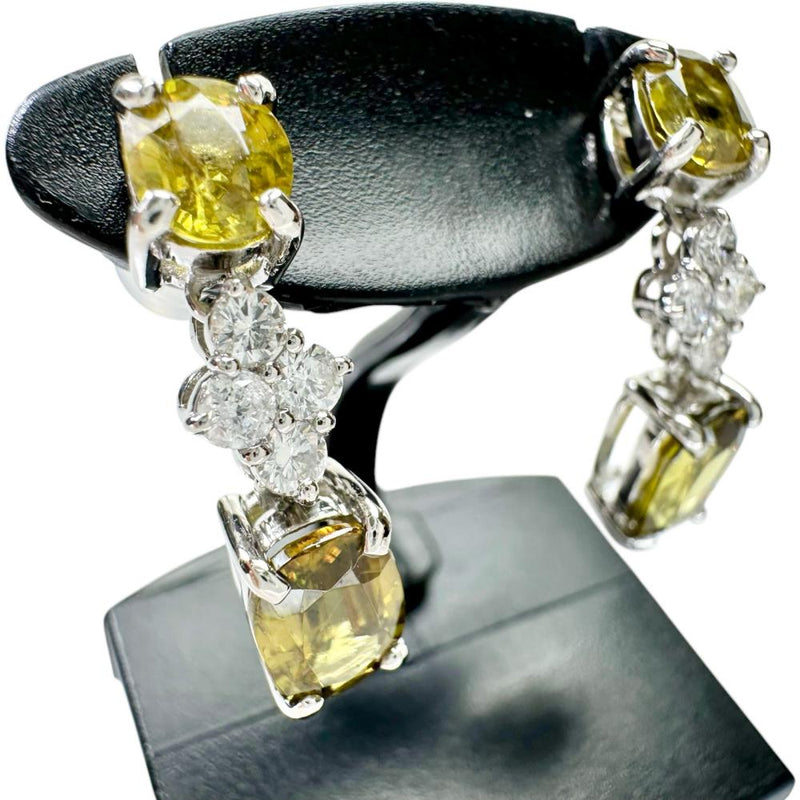 スフェーン 1.66×2ct ダイヤモンド 0.18×2ct ピアス Pt950プラチナ/Pt900プラチナ 4.2g レディース
【中古】【真子質店】【NN】




【KMox】