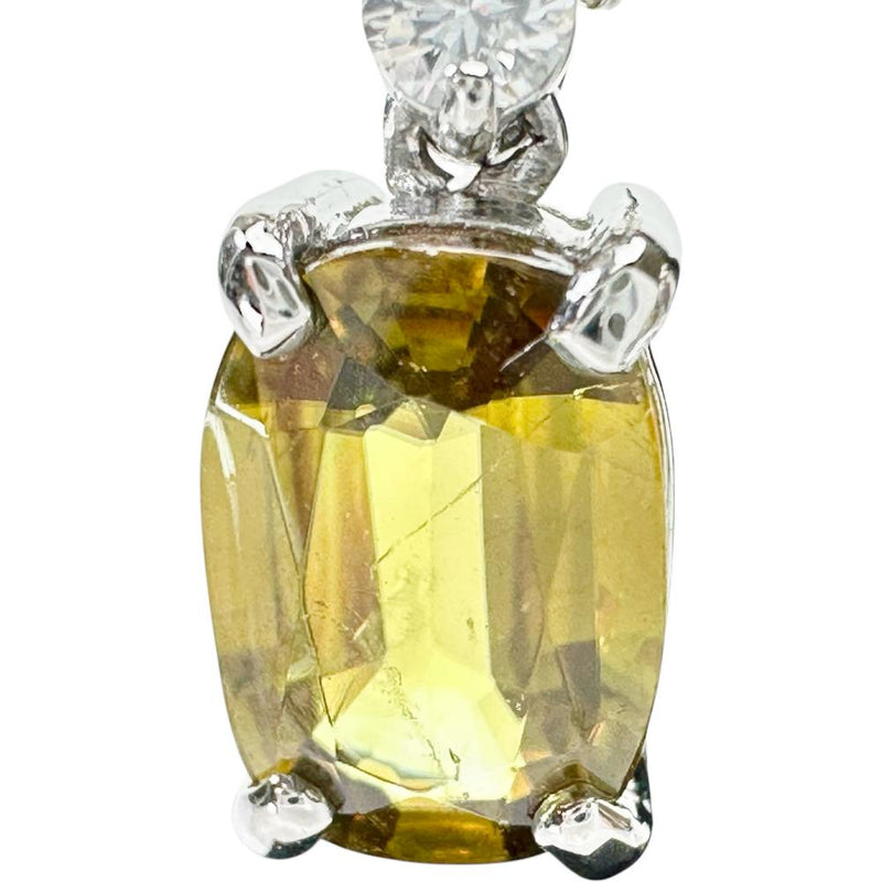 スフェーン 1.66×2ct ダイヤモンド 0.18×2ct ピアス Pt950プラチナ/Pt900プラチナ 4.2g レディース
【中古】【真子質店】【NN】




【KMox】
