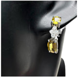 スフェーン 1.66×2ct ダイヤモンド 0.18×2ct ピアス Pt950プラチナ/Pt900プラチナ 4.2g レディース
【中古】【真子質店】【NN】




【KMox】