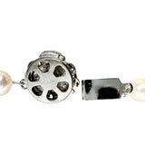 アコヤパール/真珠φ6.5～6.8mm ネックレス シルバー 29.5g 43cm レディース
【中古】【真子質店】【NN】




【TMaI】