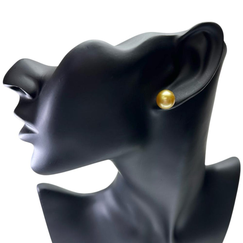 南洋ゴールデンパール 10.0～11.0mm ピアス Pt900プラチナ 3.6g レディース
【中古】【真子質店】【NN】




【IYMo】