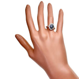 12号 サファイア 2.59ct ダイヤモンド 0.52ct リング・指輪 Pt900プラチナ 5.8g レディース
【中古】【真子質店】【NN】




【IxMaD】