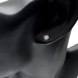 ダイヤモンド 0.248×2ct ピアス Pt900プラチナ/(分析済) 1.3g レディース
【中古】【真子質店】【NN】




【TMaI】