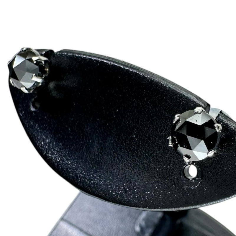 ブラックダイヤモンド 0.25×2ct ピアス Pt900プラチナ 0.5g レディース
【中古】【真子質店】【NN】




【MiT】