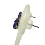 アメジスト 0.30×2ct ピアス Pt900プラチナ 0.5g レディース
【中古】【真子質店】【NN】




【DI】