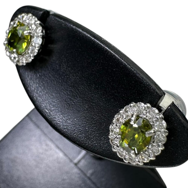 スフェーン 0.27/0.25ct ダイヤモンド 0.08/0.08ct ピアス Pt900プラチナ 1.3g レディース
【中古】【真子質店】【NN】




【MaMax】