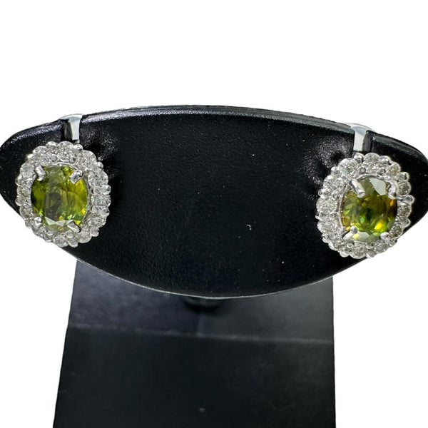 スフェーン 0.27/0.25ct ダイヤモンド 0.08/0.08ct ピアス Pt900プラチナ 1.3g レディース
【中古】【真子質店】【NN】




【MaMax】