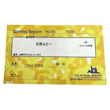 12号 ルビー 計1.30ct ダイヤモンド 計0.26ct リング・指輪 Pt900プラチナ 13720 8.4g レディース 【中古】【真子質店】【NN】 【KKx】