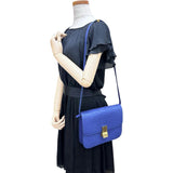 【CELINE/赛琳】经典盒式中号单肩包 蟒蛇皮/皮革 蓝色（海军蓝） 女士【中古】【真子质店】【BL】




【IDxx】