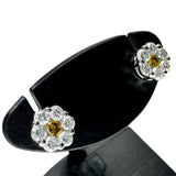 ビビッドイエローダイヤモンド 0.06/0.06ct 取巻きダイヤモンド 0.18/0.18ct ピアス Pt900プラチナ 1.3g レディース
【中古】【真子質店】【NN】




【MoMox】