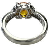 9号 ゴールデンサファイア(拡散なし) 3.01ct ダイヤモンド 0.66ct リング・指輪 Pt900プラチナ 7.6g レディース
【中古】【真子質店】【NN】




【TMoMax】