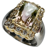 16号 バイカラートルマリン 3.69ct ダイヤモンド 計0.48ct リング・指輪 Pt900プラチナ/K18ゴールド 18金 12.6g レディース
【中古】【真子質店】【NN】




【IxMoY】