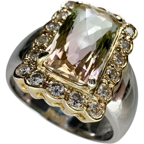 16号 バイカラートルマリン 3.69ct ダイヤモンド 計0.48ct リング・指輪 Pt900プラチナ/K18ゴールド 18金 12.6g レディース
【中古】【真子質店】【NN】




【IxMoY】