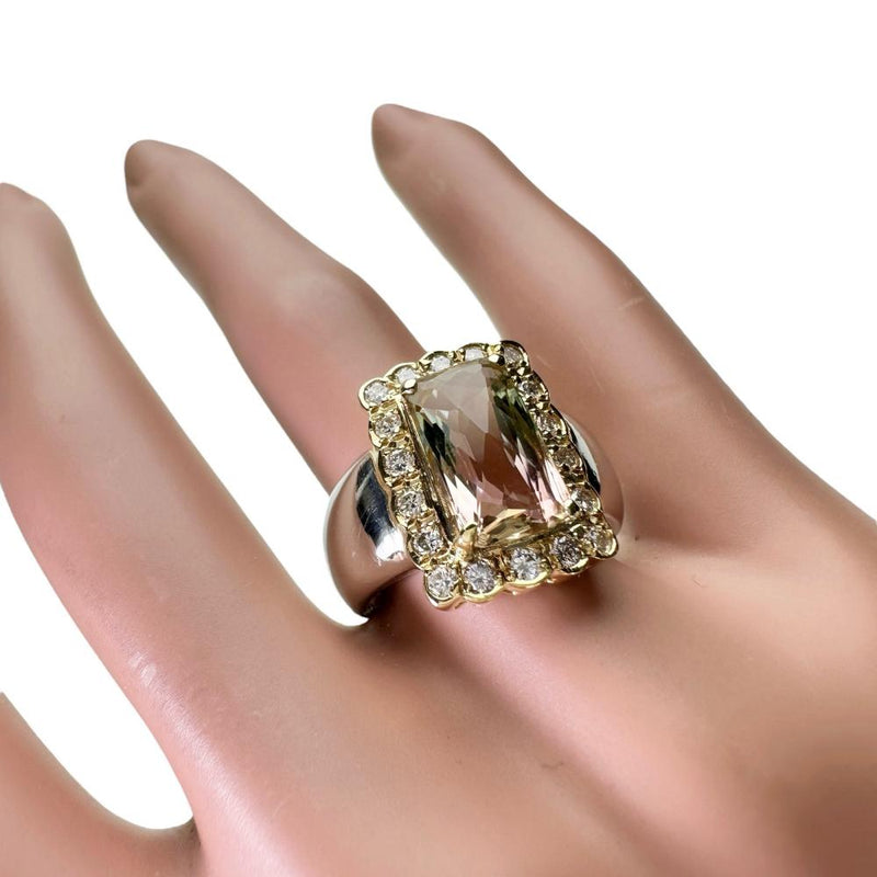 16号 バイカラートルマリン 3.69ct ダイヤモンド 計0.48ct リング・指輪 Pt900プラチナ/K18ゴールド 18金 12.6g レディース
【中古】【真子質店】【NN】




【IxMoY】