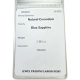 サファイア(刻印不鮮明) 1.315ct ダイヤモンド 計0.23ct ネックレス Pt900プラチナ/Pt850プラチナ 5.4g 45cm レディース
【中古】【真子質店】【NN】




【KDMi】