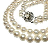 2連 アコヤ真珠7.0～7.5mm ネックレス シルバー 63.7g 42cm レディース
【中古】【真子質店】【NN】




【MaxMi】