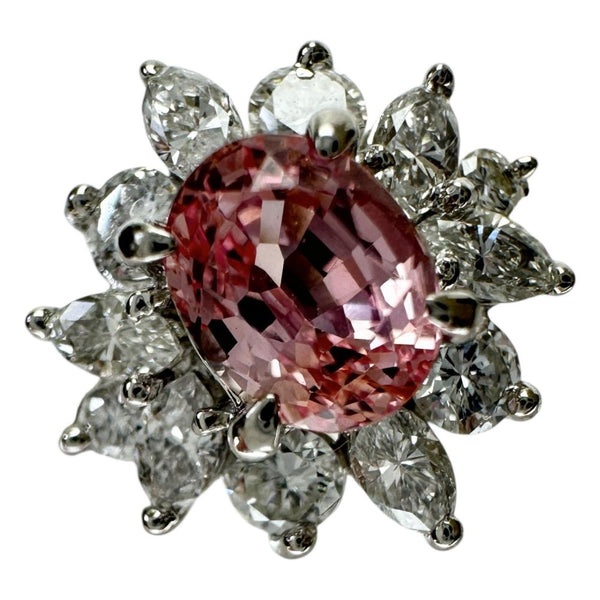 8.5号 パパラチャサファイア 0.751ct ダイヤモンド 0.50ct リング・指輪 Pt900プラチナ 4.2g レディース
【中古】【真子質店】【NN】




【IIxx】