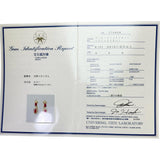 ルビー 1.05ct ダイヤモンド 0.18ct ピアス K18ゴールド 18金 3.1g レディース
【中古】【真子質店】【NN】




【SDY】