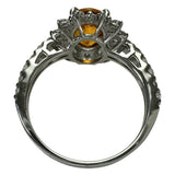 11.5号 オレンジサファイア（拡散加熱処理なし） 2.04ct ダイヤモンド 0.76ct リング・指輪 Pt950プラチナ 4.8g レディース
【中古】【真子質店】【NN】




【IMoDx】