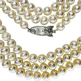 【TASAKI/タサキ】 ロング142cm アコヤ真珠5.5~5.7mm ネックレス シルバー 67.1g 142cm レディース
【中古】【真子質店】【NN】




【YxMo】