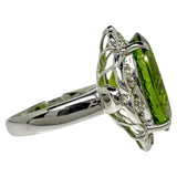 19号 ペリドット 17.159ct ダイヤモンド 計0.11ct リング・指輪 Pt900プラチナ 15.8g レディース
【中古】【真子質店】【NN】




【TDSK】