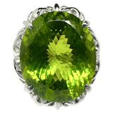 19号 ペリドット 17.159ct ダイヤモンド 計0.11ct リング・指輪 Pt900プラチナ 15.8g レディース
【中古】【真子質店】【NN】




【TDSK】