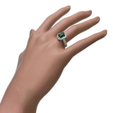 14号 エメラルド(MUZO) 1.486ct ダイヤモンド 0.70ct リング・指輪 Pt900プラチナ 5.6g レディース
【中古】【真子質店】【NN】




【MoMoxx】