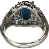 12.5号 インディゴライトブルートルマリン 3.08ct ダイヤモンド 0.67ct リング・指輪 Pt900プラチナ 13.9g レディース
【中古】【真子質店】【NN】




【IYxx】