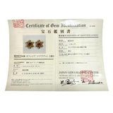 パパラチャサファイア 0.19×2 ct ダイヤモンド 計0.06×2ct ピアス K18ゴールド 18金 2.0g レディース
【中古】【真子質店】【NN】




【DKMa】