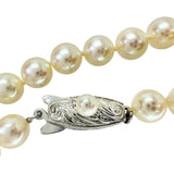 【TASAKI/タサキ】 ロング アコヤパール（真珠）6.0-6.5mm ネックレス シルバー 69.4g 130cm レディース
【中古】【真子質店】【NN】




【KMaK】