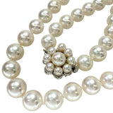 アコヤパール8.2-8.8mm ネックレス K14WGホワイトゴールド 14金 48.0g 47cm レディース
【中古】【真子質店】【NN】




【KIMo】