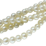 5連 アコヤベビーパール(真珠)2.5-3.0mm ネックレス シルバー 30.9g 46cm レディース
【中古】【真子質店】【NN】




【YIY】