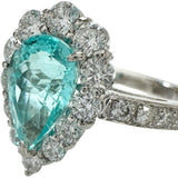 19号 パライバトルマリン 1.64ct ダイヤモンド 0.82ct リング・指輪 Pt900プラチナ 5.9g レディース
【中古】【真子質店】【NN】




【KTYx】