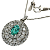 ブラジル産パライバトルマリン 0.215ct ダイヤモンド 0.523ct ネックレス Pt900プラチナ 6.1g 45.5cm レディース
【中古】【真子質店】【NN】




【IYMox】