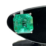 エメラルド 0.882/0.791ct ピアス Pt900プラチナ 1.2g レディース
【中古】【真子質店】【NN】




【IxDMo】