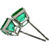 エメラルド 0.882/0.791ct ピアス Pt900プラチナ 1.2g レディース
【中古】【真子質店】【NN】




【IxDMo】