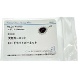 ロードライトガーネット 4.57ct ダイヤモンド 1.25ct ペンダントトップ Pt900プラチナ 6.7g レディース
【中古】【真子質店】【NN】




【IxxI】