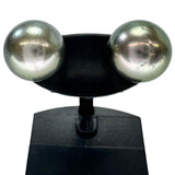 黒蝶真珠11.1mm ピアス K14WGホワイトゴールド 14金 4.2g レディース
【中古】【真子質店】【NN】




【KK】