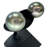 黒蝶真珠11.1mm ピアス K14WGホワイトゴールド 14金 4.2g レディース
【中古】【真子質店】【NN】




【KK】