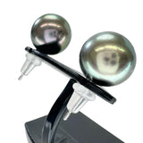 黒蝶真珠11.1mm ピアス K14WGホワイトゴールド 14金 4.2g レディース
【中古】【真子質店】【NN】




【KK】