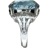 11.5号 アクアマリン 22.05ct ダイヤモンド 0.84ct リング・指輪 Pt900プラチナ 15.7g レディース
【中古】【真子質店】【NN】




【MaYMax】